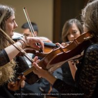 Orchestra Filarmonica di Benevento:particolare 4